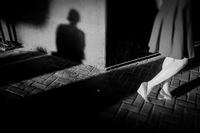 shadows#9