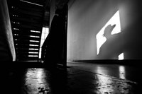 shadows#8