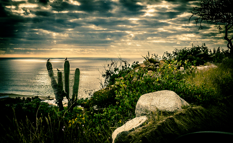 water&country#13 : water & country :  San Francisco Digital Photography Classes, Fine Art 
