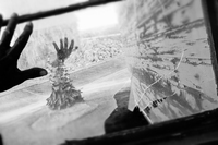 windows&reflections#12