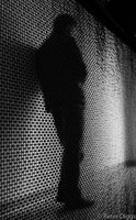 shadows#7