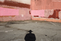 shadows#14