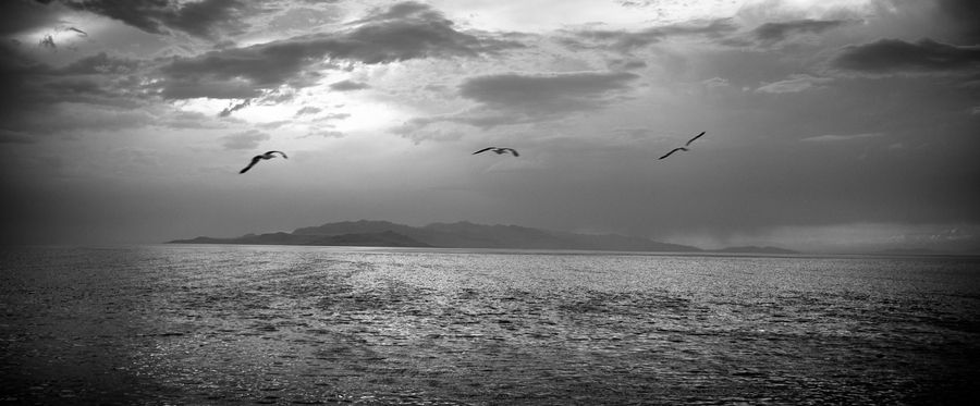 water&country#11 : water & country :  San Francisco Digital Photography Classes, Fine Art 