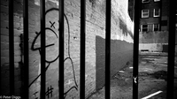 urban-scape#13