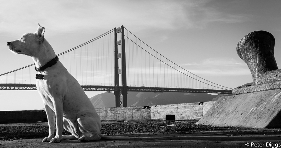 SanFranciscoBridges#11 : san francisco bridges :  San Francisco Digital Photography Classes, Fine Art 