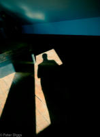 shadows#4