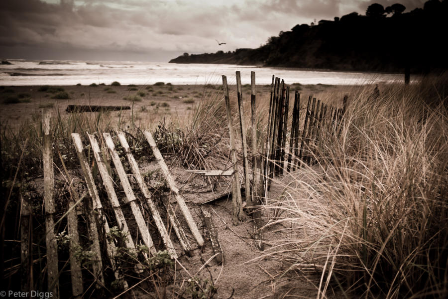 water&country#8 : water & country :  San Francisco Digital Photography Classes, Fine Art 