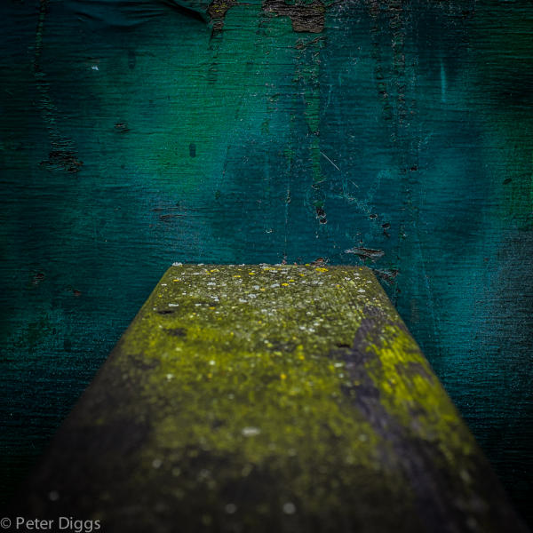 surfaces#9 : surfaces :  San Francisco Digital Photography Classes, Fine Art 