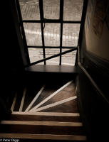 windows&reflections#5