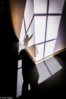 shadows#16