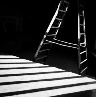 shadows#17
