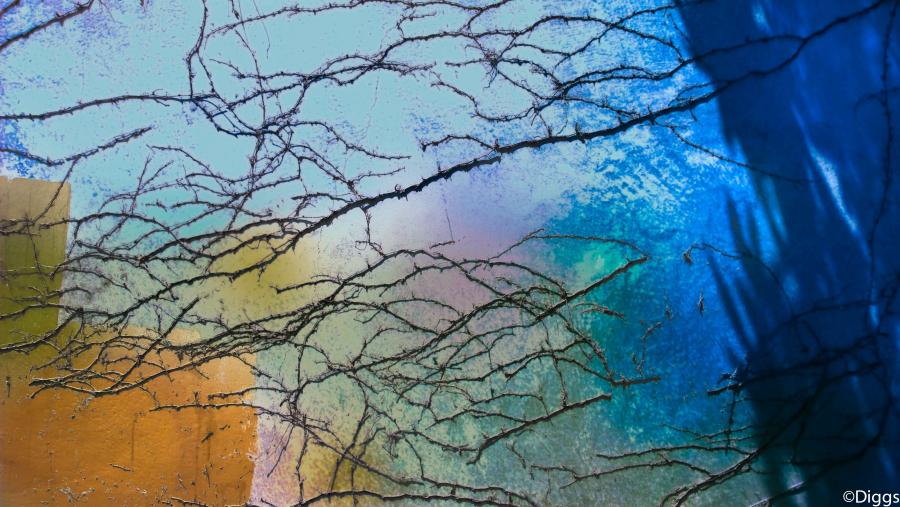 surfaces#37 : surfaces :  San Francisco Digital Photography Classes, Fine Art 