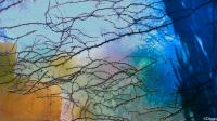 surfaces#37