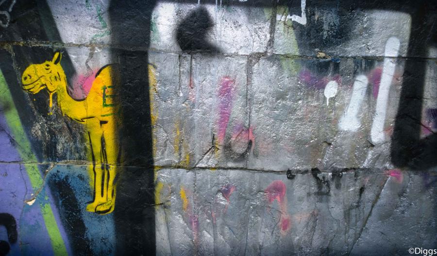 surfaces#48 : surfaces :  San Francisco Digital Photography Classes, Fine Art 