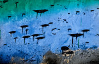 surfaces#74