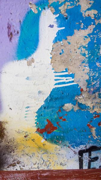 surfaces#80 : surfaces :  San Francisco Digital Photography Classes, Fine Art 