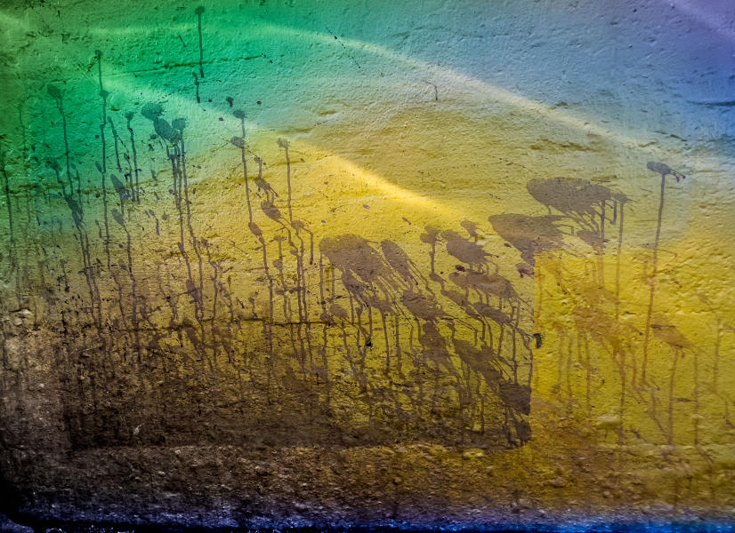  : surfaces :  San Francisco Digital Photography Classes, Fine Art 