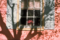 windows&reflections#14