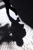 shadows#12